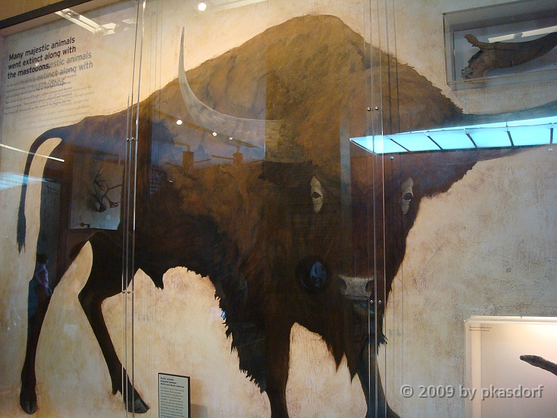 036 Cranbrook Institute of Science [2008 Jan 02].JPG